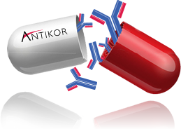 Antikor - Creating Antibody Drug Conjugates